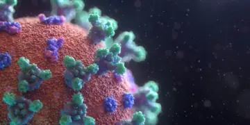 Yang Perlu Kamu Ketahui Tentang Hantavirus (Unsplash)