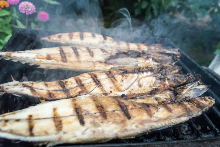 Pengalaman Kuliner di Pantai Blimbingsari, Banyuwangi: Tenang dan Nyaman, tapi Bikin Kapok buat Jajan