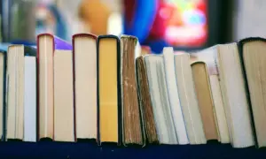 Pustakawan Membela Layanan iPusnas yang Dikeluhkan Banyak Orang