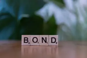 Memahami Apa Itu Patriot Bond dengan Gampang dan Nggak Bikin Pusing