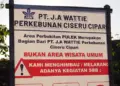 Ironi Puncak Pulek Cilacap: Ramai Dikunjungi karena Viral, padahal Area Privat