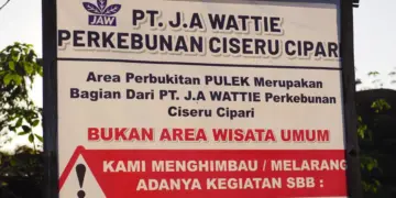 Ironi Puncak Pulek Cilacap: Ramai Dikunjungi karena Viral, padahal Area Privat