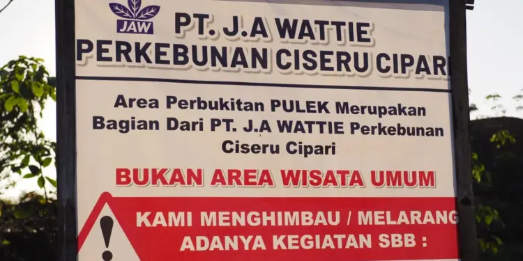 Ironi Puncak Pulek Cilacap: Ramai Dikunjungi karena Viral, padahal Area Privat