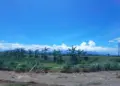 4 hal lazim di Jogja yang masih asing di Tulungagung, tapi perlu dicontoh demi ruang publik yang lebih hidup Mojok.co