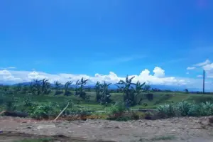 4 hal lazim di Jogja yang masih asing di Tulungagung, tapi perlu dicontoh demi jadi daerah lebih hidup 