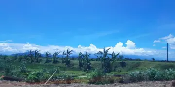 4 hal lazim di Jogja yang masih asing di Tulungagung, tapi perlu dicontoh demi ruang publik yang lebih hidup  Mojok.co
