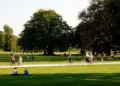 Darurat ruang terbuka hijau, warlok Kota Jogja harus mampir daerah tetangga untuk sekadar duduk-duduk di taman Mojok.co