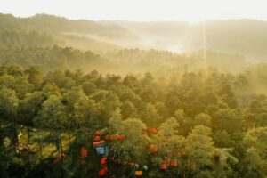Akal-akalan pemandu yang bikin liburan di Lembang Bandung berakhir kecewa