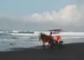 Sebagai Warga Jogja, Pantai Bantul Lebih Menarik untuk Dikunjungi Dibanding Pantai Gunungkidul