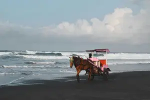 Sebagai warga Jogja, pantai Bantul lebih menarik untuk dikunjungi dibanding pantai Gunungkidul