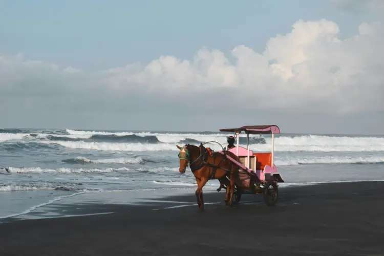Sebagai Warga Jogja, Pantai Bantul Lebih Menarik untuk Dikunjungi Dibanding Pantai Gunungkidul