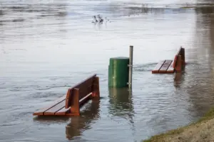 Banjir di Semarang selama ini tak hanya perkara alam, tapi justru gara-gara ulah warganya sendiri,