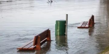 Warga Semarang Bawah layak dapat gelar warga paling kuat dan tabah di Semarang banjir di semarang