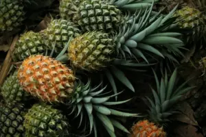 Nanas madu Pemalang sering diremehkan karena ukurannya, padahal inilah oleh-oleh yang paling layak dibawa pulang