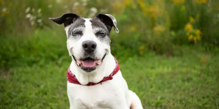 Ide bisnis buat pebisnis Semarang kalau punya punya 100 miliar (Unsplash)
