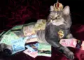 Saya masuk desil 10, saya dianggap elite oleh negara, padahal hidup saya benar-benar mengenaskan