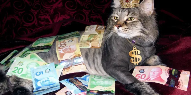 Saya masuk desil 10, saya dianggap elite oleh negara, padahal hidup saya benar-benar mengenaskan