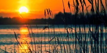 Jombang memang nggak punya pantai, tapi senja pinggir Sungai Brantas sukses bikin iri warga kabupaten tetangga
