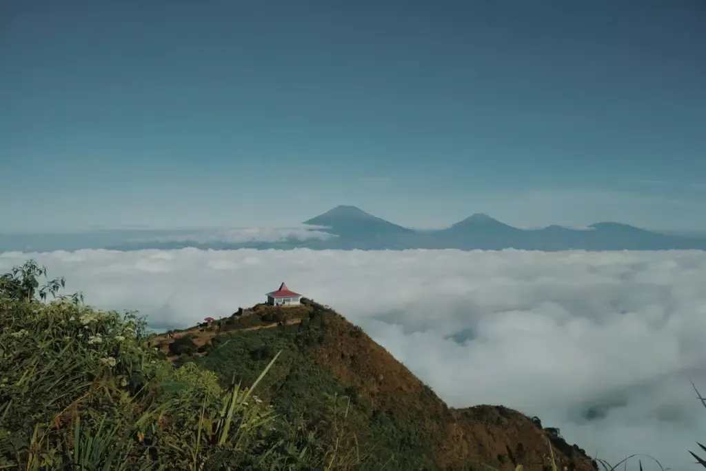 Gunung Andong katanya untuk pemula, saya sudah dua kali ke sana tapi kaki tetap gemetaran dan nafas ngos-ngosan