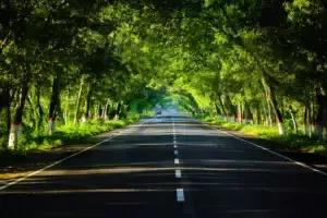 Jalan Pakem-Turi, jalan alternatif dari Jogja menuju Magelang yang bebas stres dan kemacetan