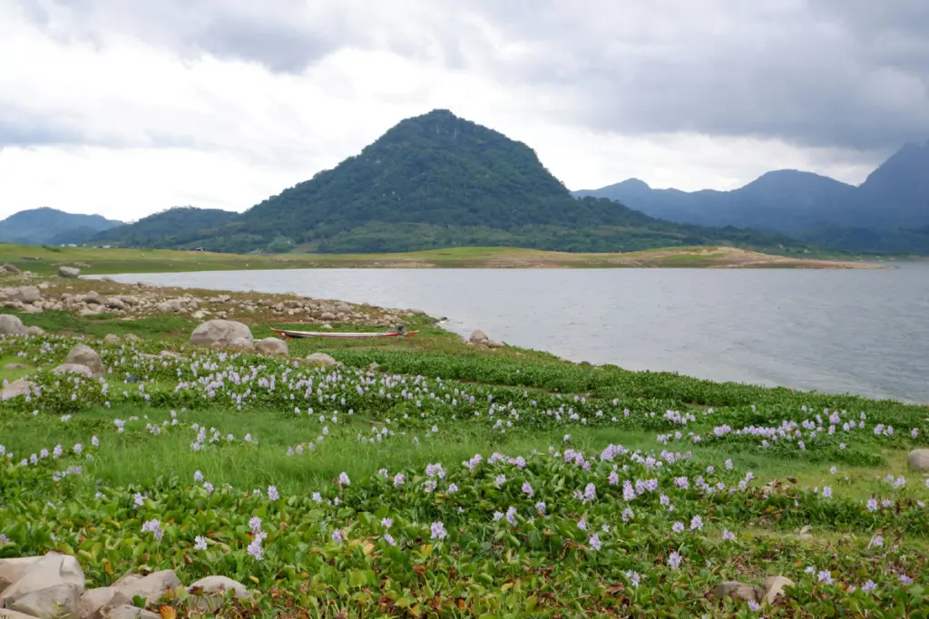 Purwakarta mengenaskan karena akan selalu kalah dari Bandung (Unsplash)