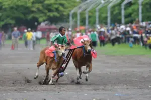 Saya orang Madura dan mengakui kalau kami memang keras kepala Mojok.co