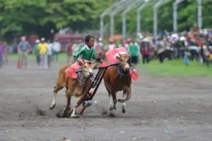 Bangkalan kabupaten yang terlalu berisik sampai nggak sadar kalau Sumenep dan Pamekasan makin melejit Mojok.co
