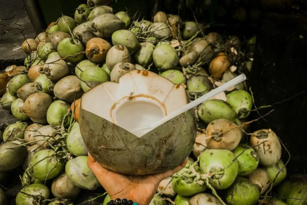 Ciri-ciri penjual es kelapa muda yang sudah pasti nggak enak Mojok.co