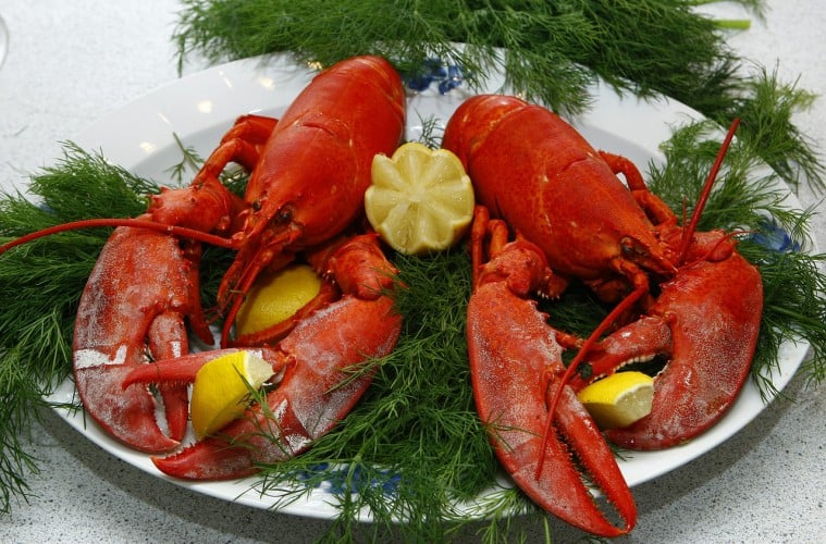 Pak Anggota DPRD DKI, Makan Lobster Kagak Usah Belagu!
