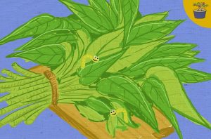 Si Kangkung yang Bikin Ngantuk