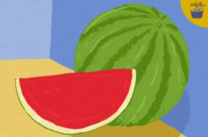 Berkontemplasi dengan Semangka Tanpa Biji