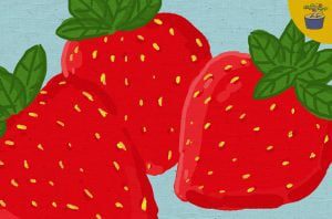 Strawberry, Si Onde-Onde Organik