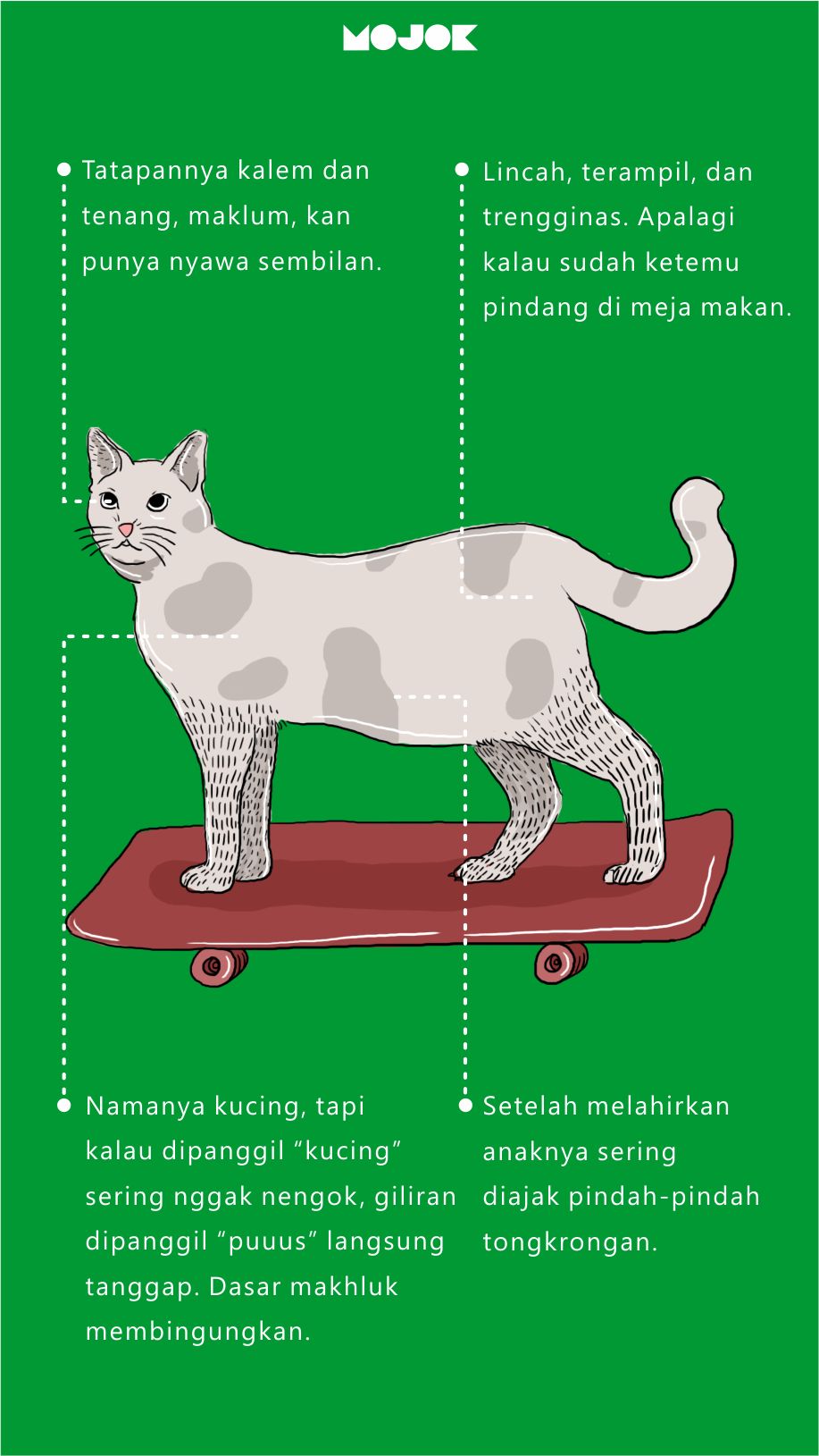 infografis kucing