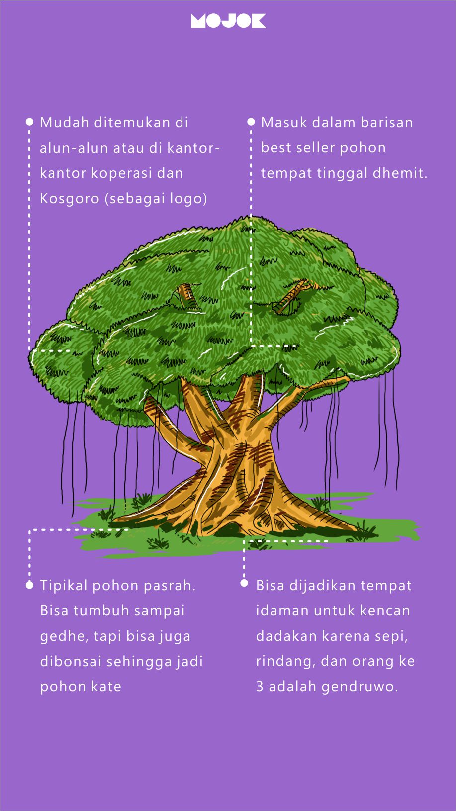 Pohon beringin