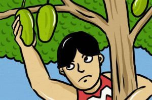 Pencuri Mangga Lebih Galak daripada Pemilik Mangga