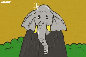 Gajah, Gajah Apa yang Paling Bersih?