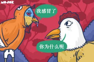 Sedih Sekali Jadi China, Belum Habis Virus Corona, Tiba-tiba Flu Burung Muncul Lagi