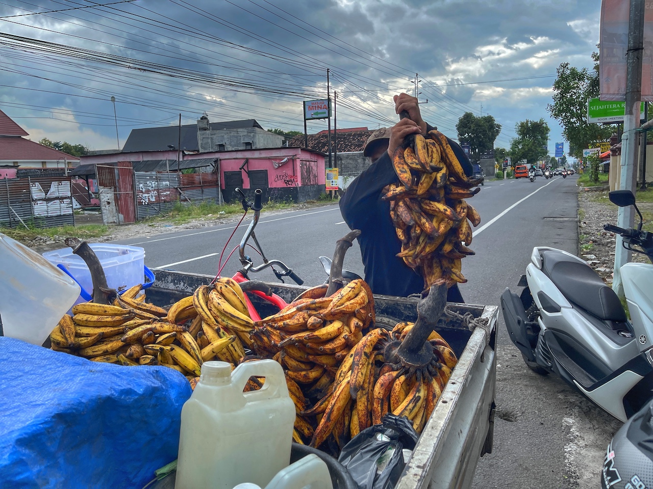 Bahan baku pisang goreng Pak Gembor didatangkan dari Sukabumi. Mojok.co/Puthut EA