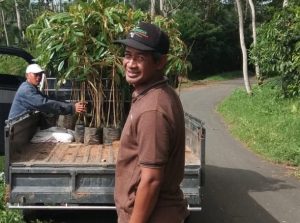 Irul menginspirasi warga di dusunnya untuk jualan bibit tanaman khususnya buah, dengan cara online. Foto dok Irul