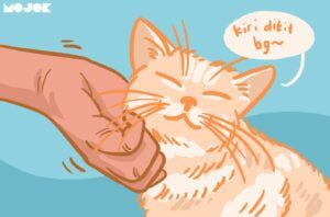 Godaan untuk Memelihara Kucing Ras Setelah Sekian Lama Memelihara Kucing Kampung