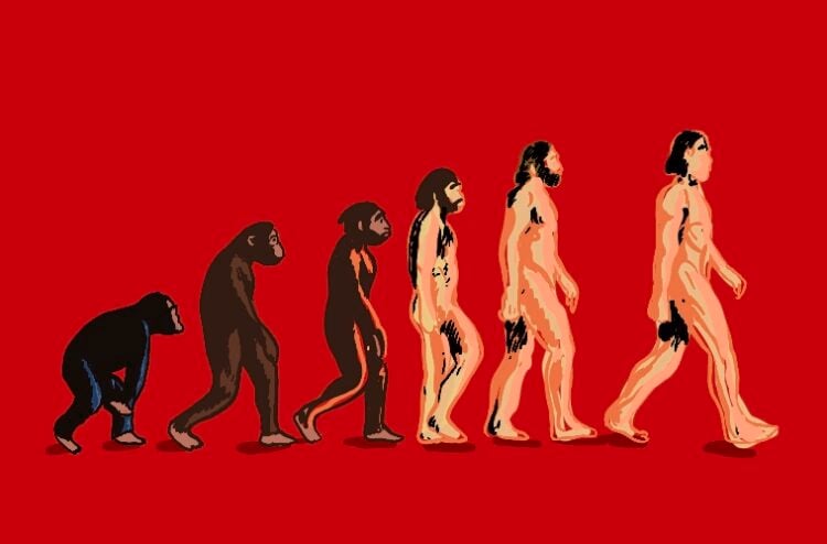 teori evolusi-sains-agama