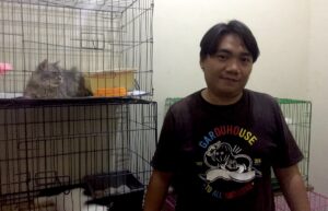 Pacak Kucing: Bisnis Jasa Menuntaskan Berahi Anabul