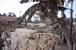 Wilayah terdampak erupsi Semeru di Lumajang Mojok.co