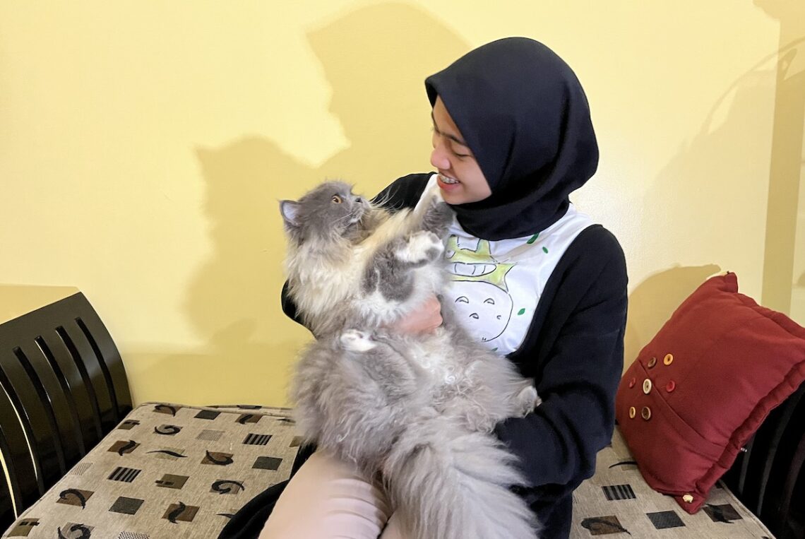 Animal Communicator Dan Bagaimana Mereka Mencari Kucing Yang Hilang