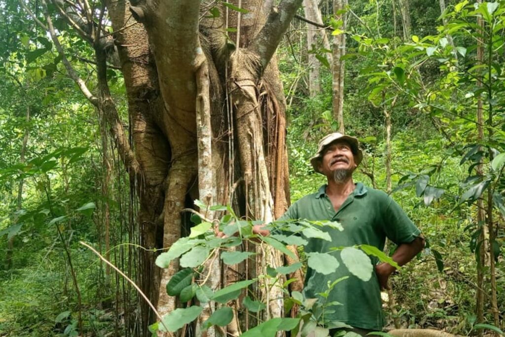 Mbah Ngadimo, gunakan ilmu titen untuk hijaukan alas angker.