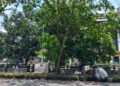 pemulung di jalan teknika seberang gedung mm ugm mojok.co