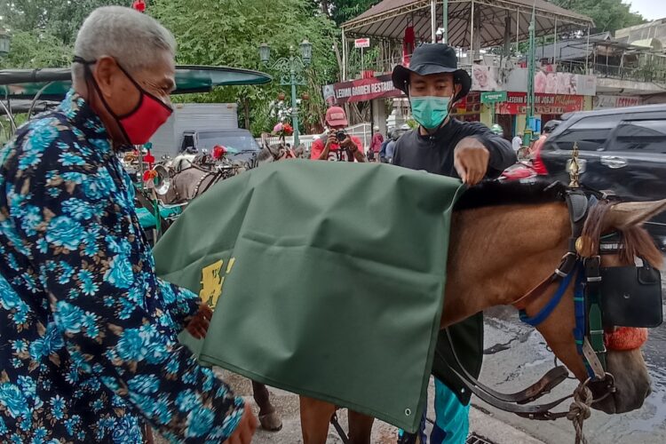 Mbah Sihono tampak senang, kudanya yang bernama Tentrem mendapatkan jas hujan dari masyarakat melalui AFJ. (Yvesta Ayu)