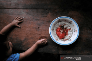 Ancaman Krisis Pangan Bisa Mendorong Perpindahan Masyarakat Global