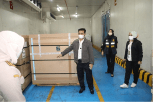 800 Ribu Dosis Vaksin PMK Siap Didistribusikan ke Hewan Ternak Prioritas