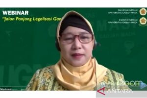 Guru Besar Farmasi UGM: Ganja untuk Medis Tetap Tak Bisa Dilegalisasi